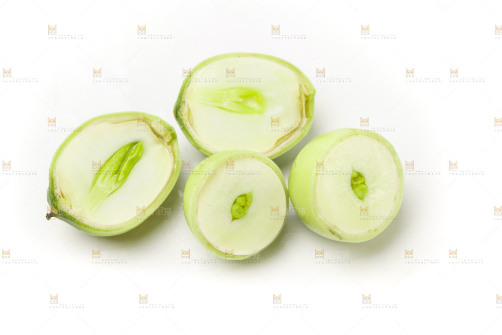 白底上的新鲜莲子