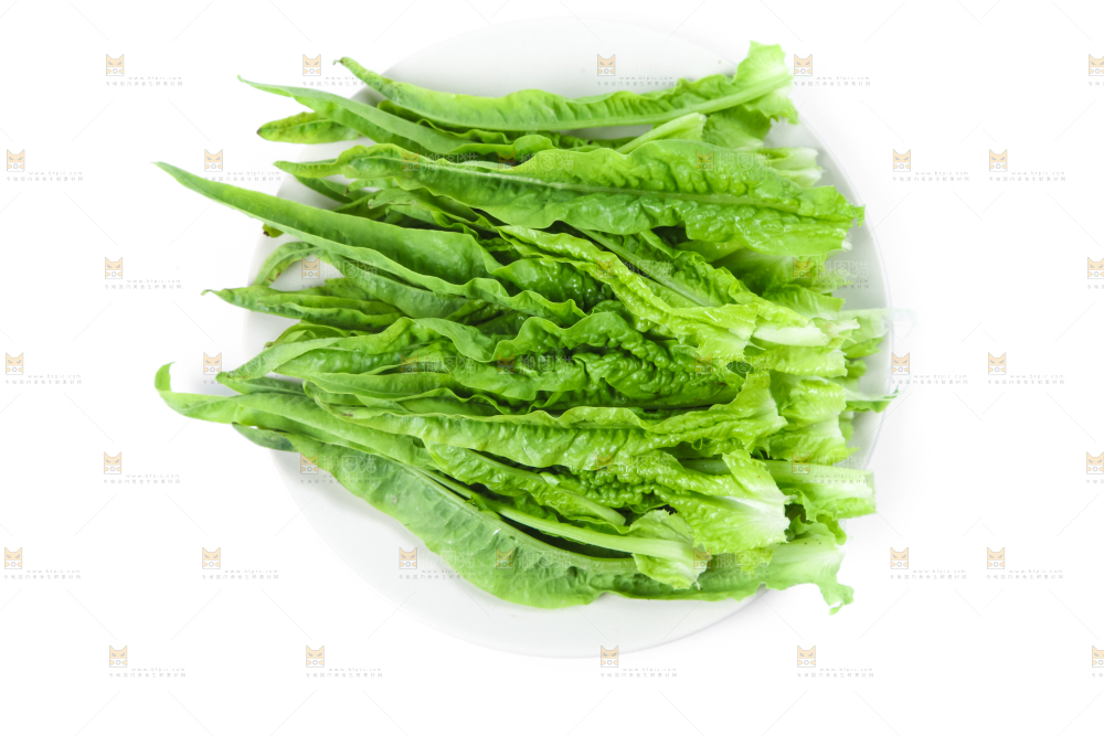 白底上放着莴笋叶子