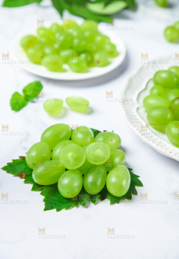 浅底上的青提