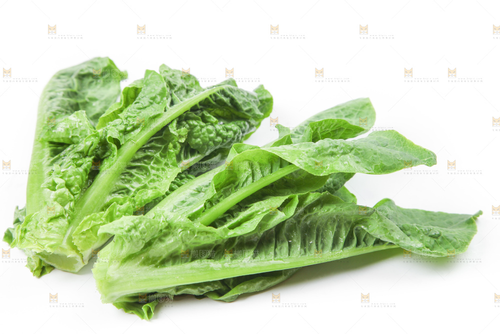 白底上的莴笋叶子