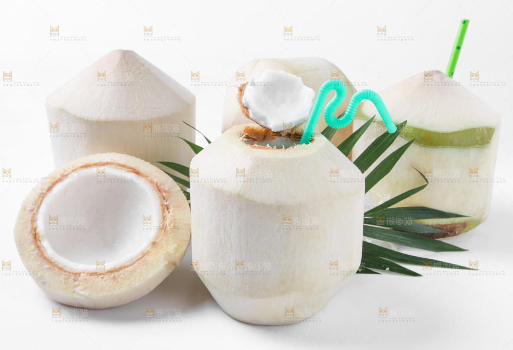 白底上青椰子