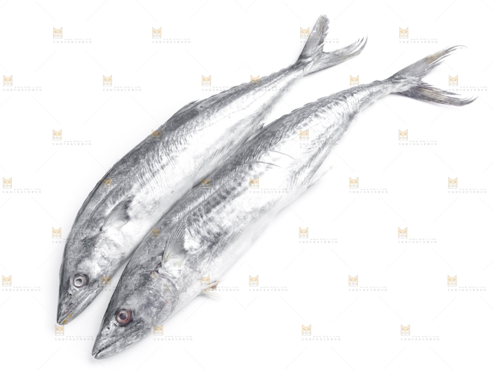 白底上放着秋刀鱼