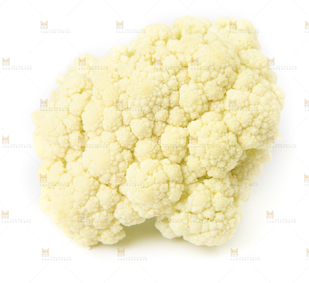 白底上的花菜