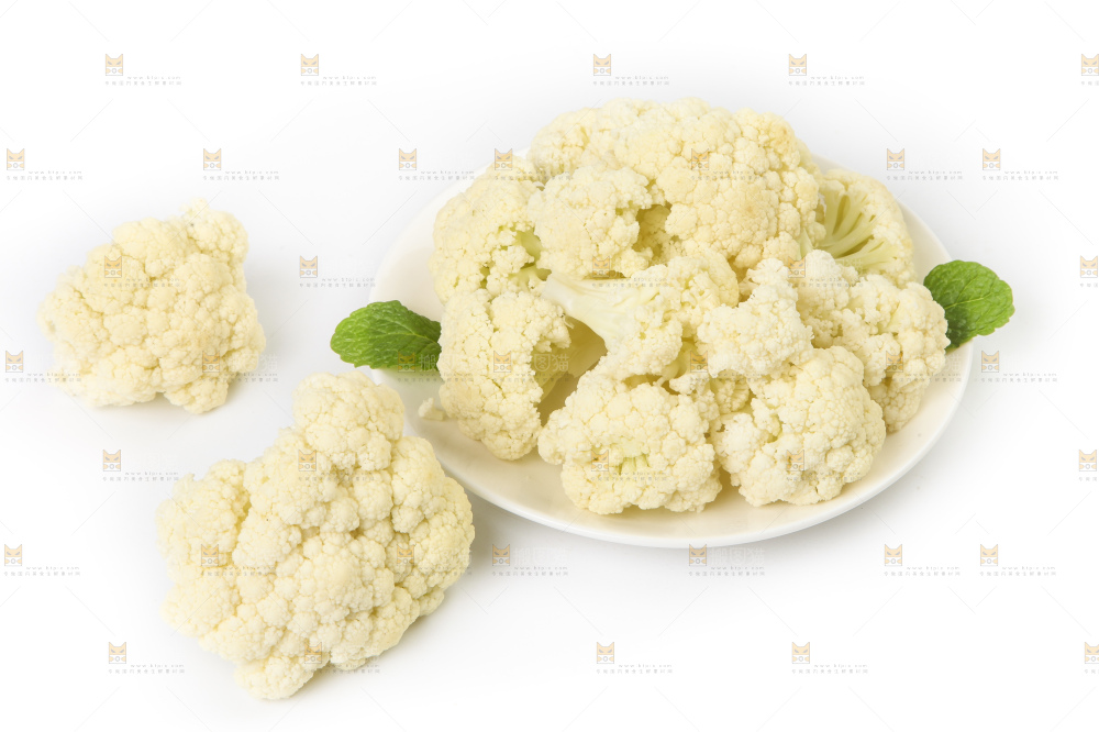 白底上的花菜