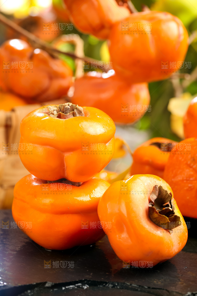 黑石板上放着易县磨盘柿