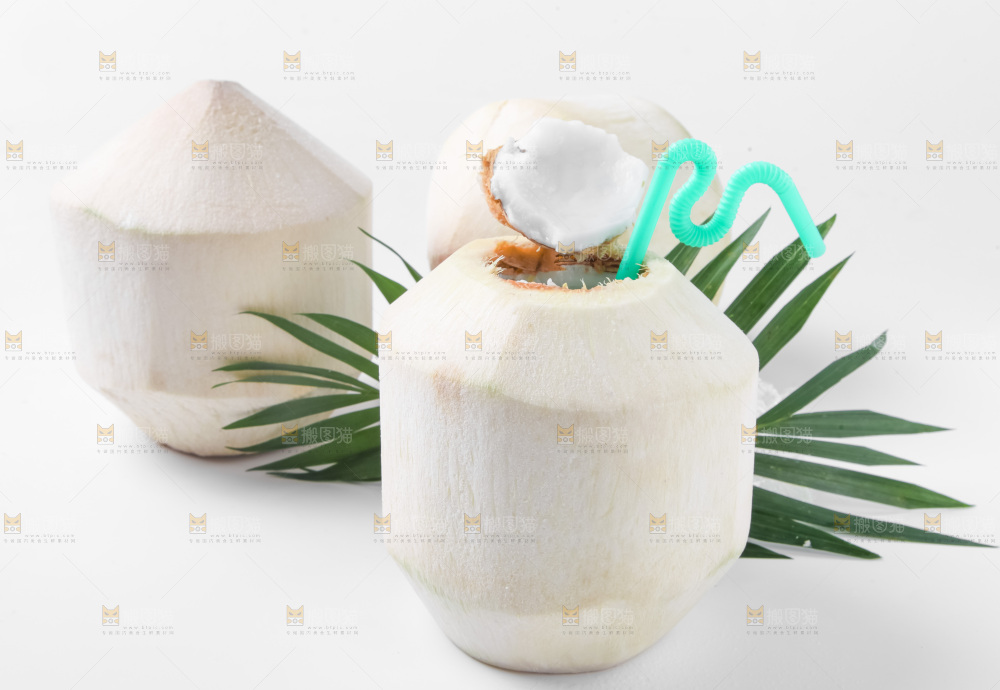 白底上青椰子