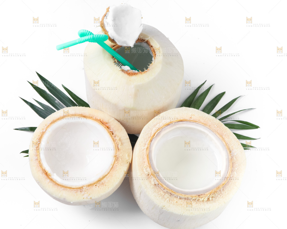 白底上青椰子
