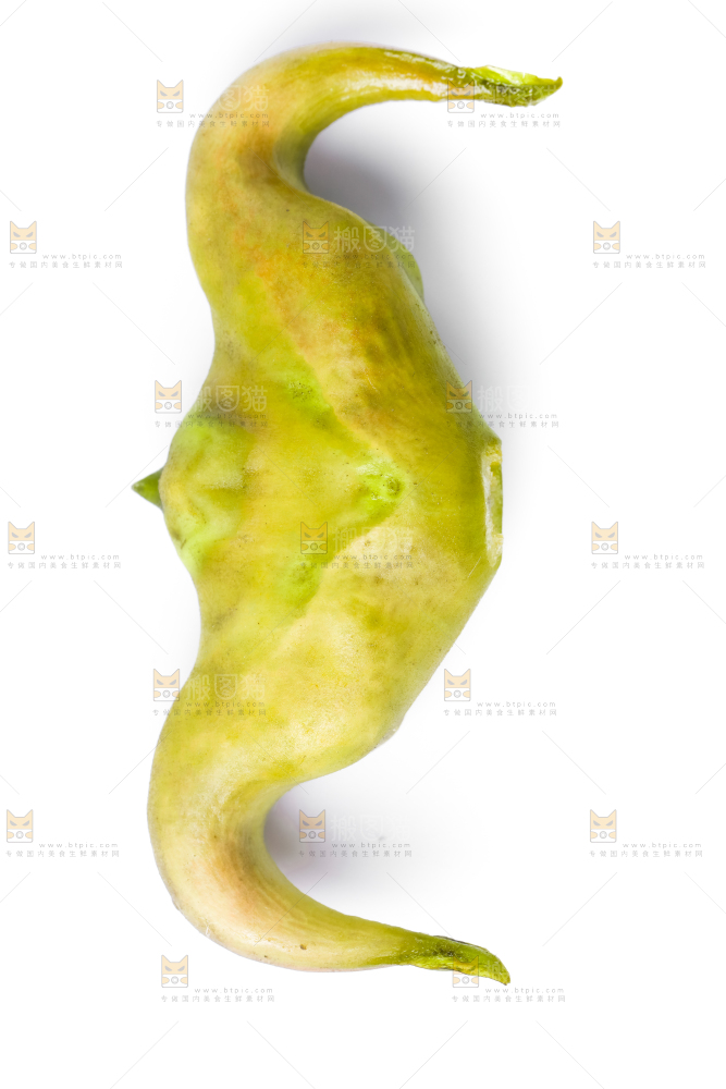 浅底上的新鲜菱角
