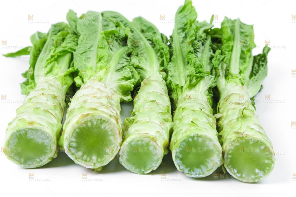 白底上的莴笋