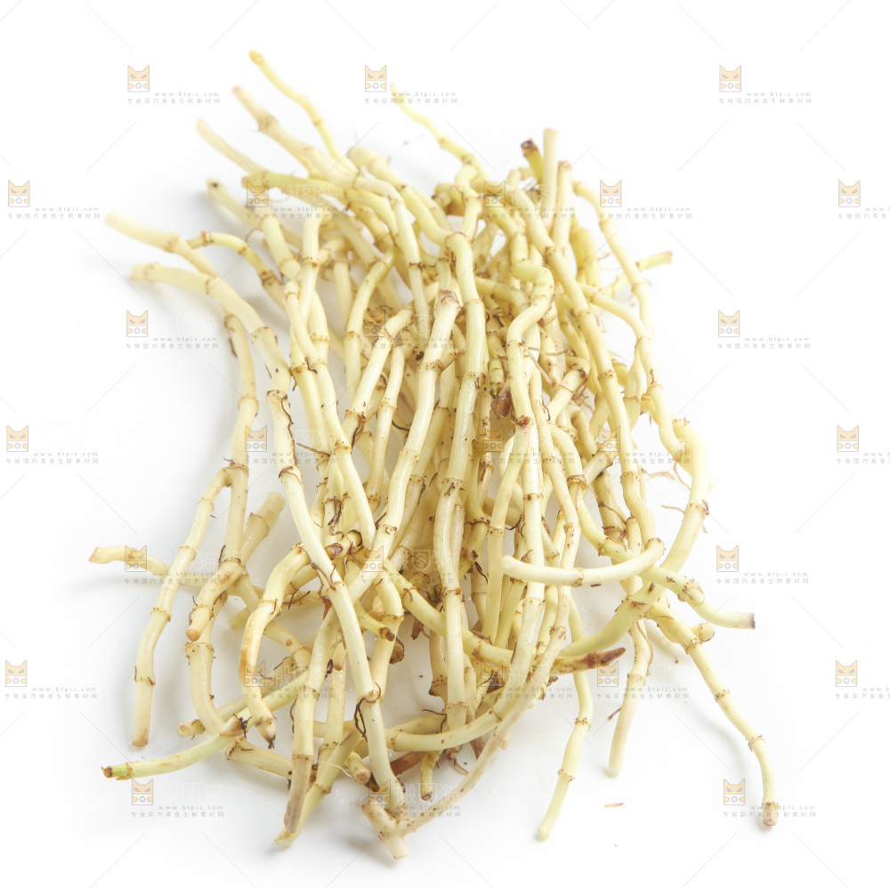 白底上的鱼腥草