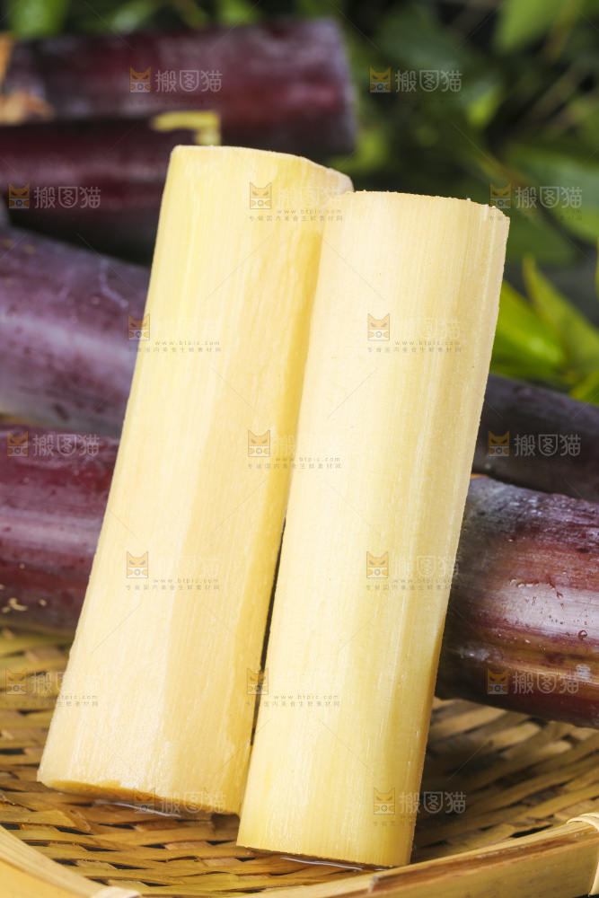 深底上的广西黑皮甘蔗
