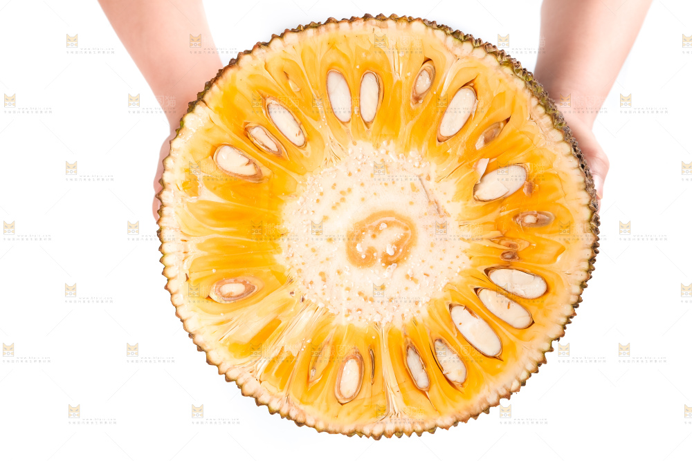 手里拿着红肉菠萝蜜