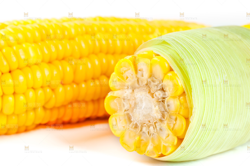 白底上放着黄玉米