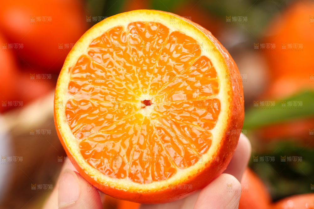 手里拿着新鲜砂糖橘