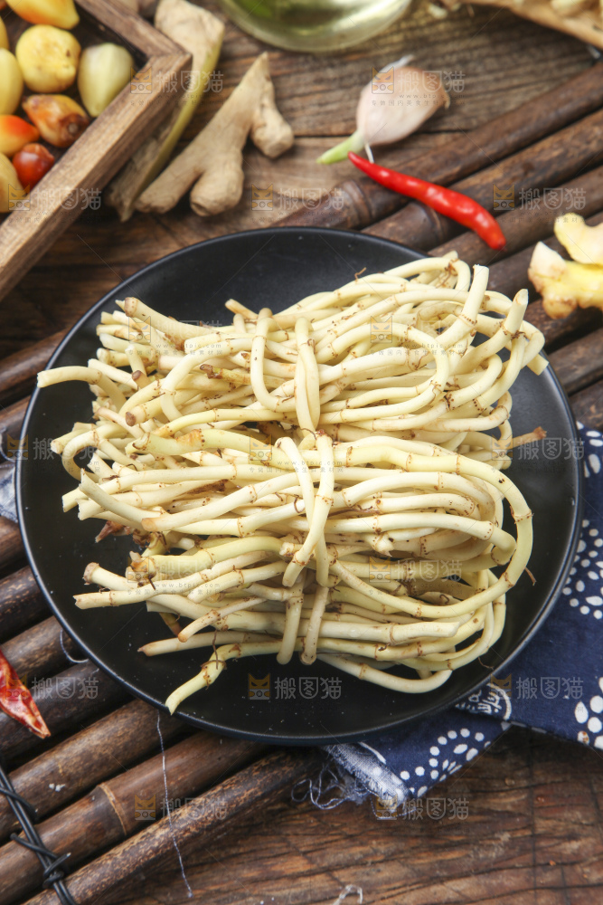 竹底上的鱼腥草