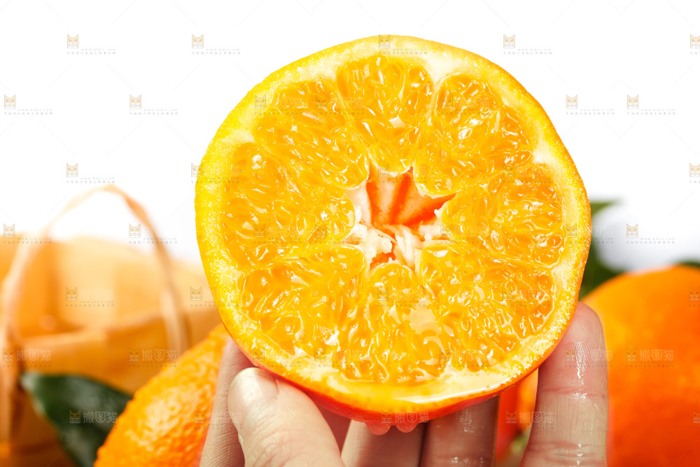 手里拿着新鲜春见
