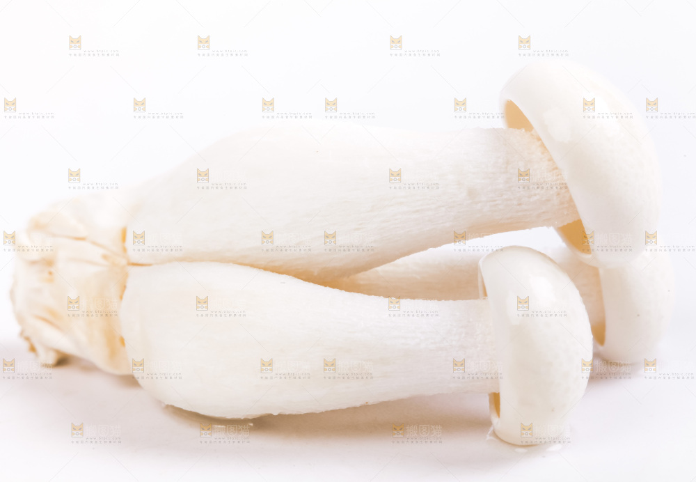 白底上放着白玉菇