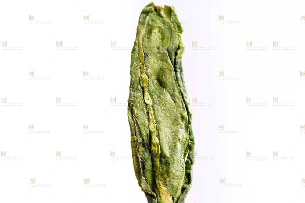 白底上的干茶叶