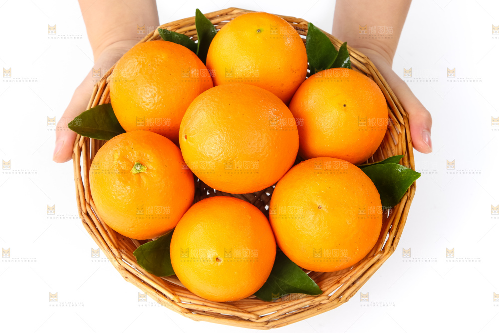 赣南脐橙