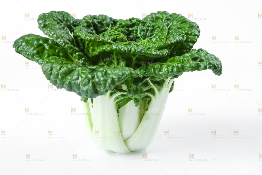 白底上放着奶油小白菜