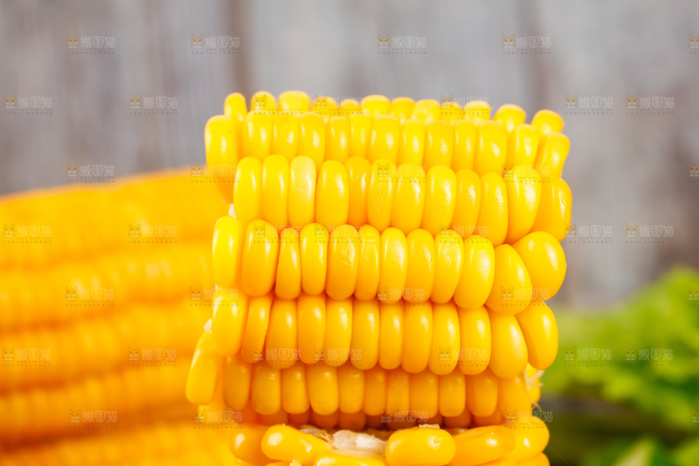 深底上的东北玉米
