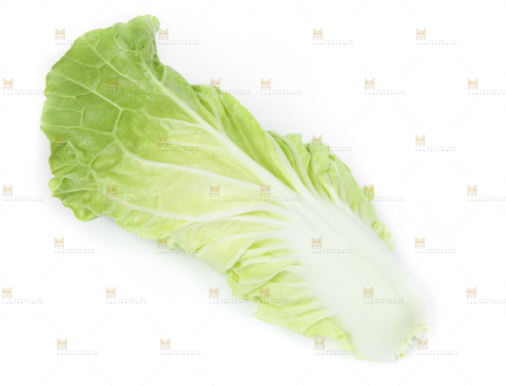 白底上放着大白菜