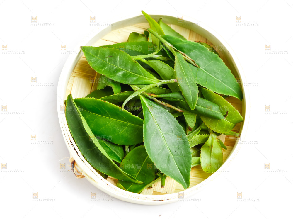 白底上放着绿茶叶