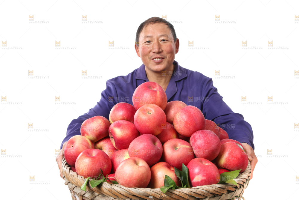 篮子里装着红苹果