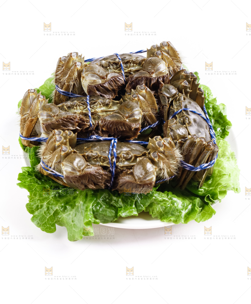 盘子里的阳澄湖大闸蟹
