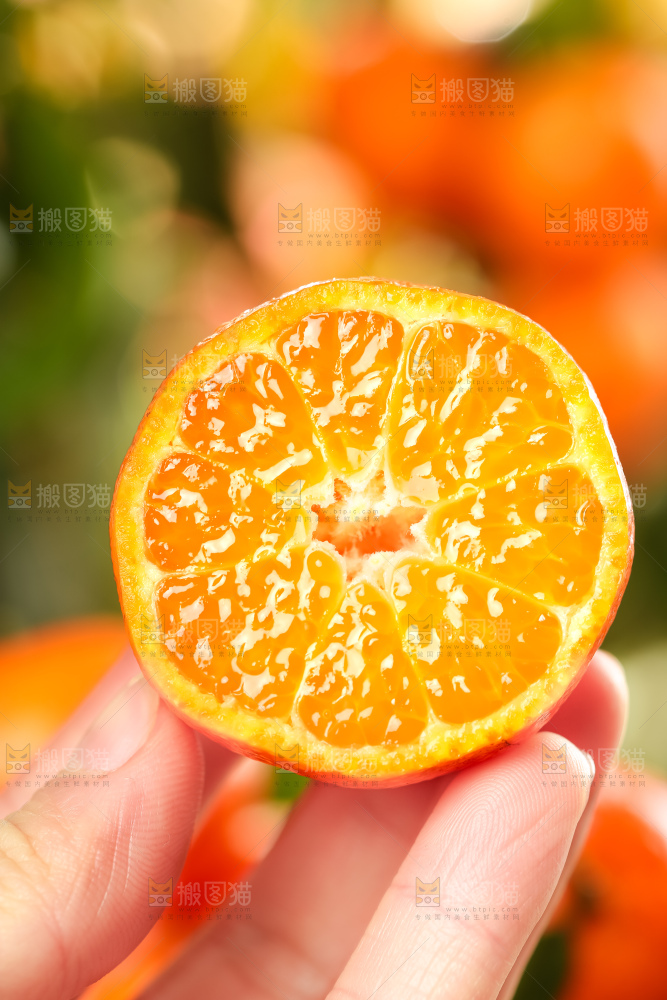 手里拿着新鲜砂糖橘