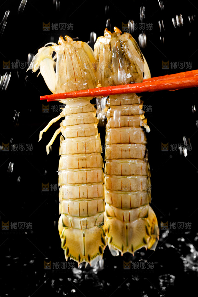 筷子上夹着虾姑