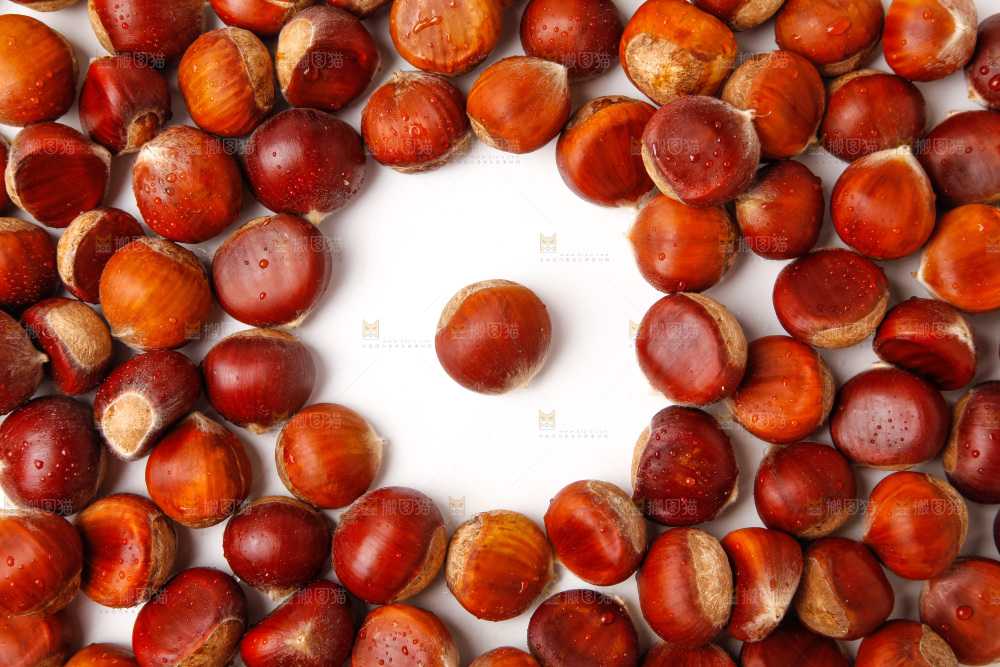 白底上的新鲜栗子