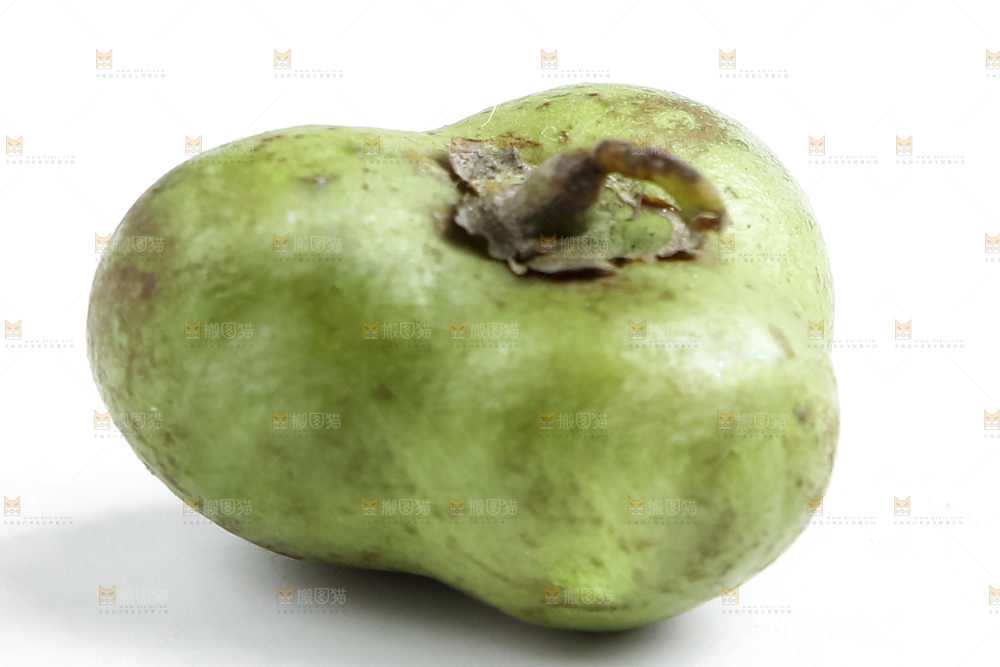 白底上的茶叶果
