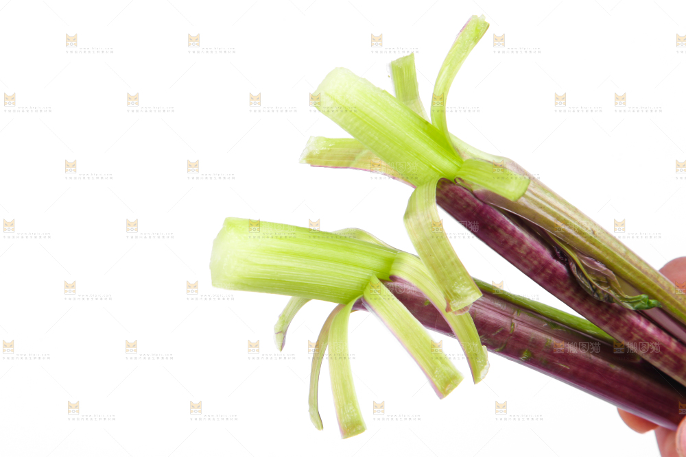 白底上放着紫菜苔