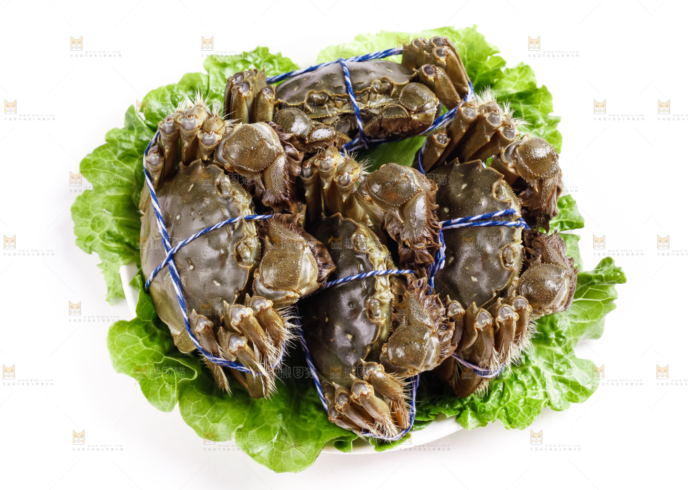 盘子里的阳澄湖大闸蟹