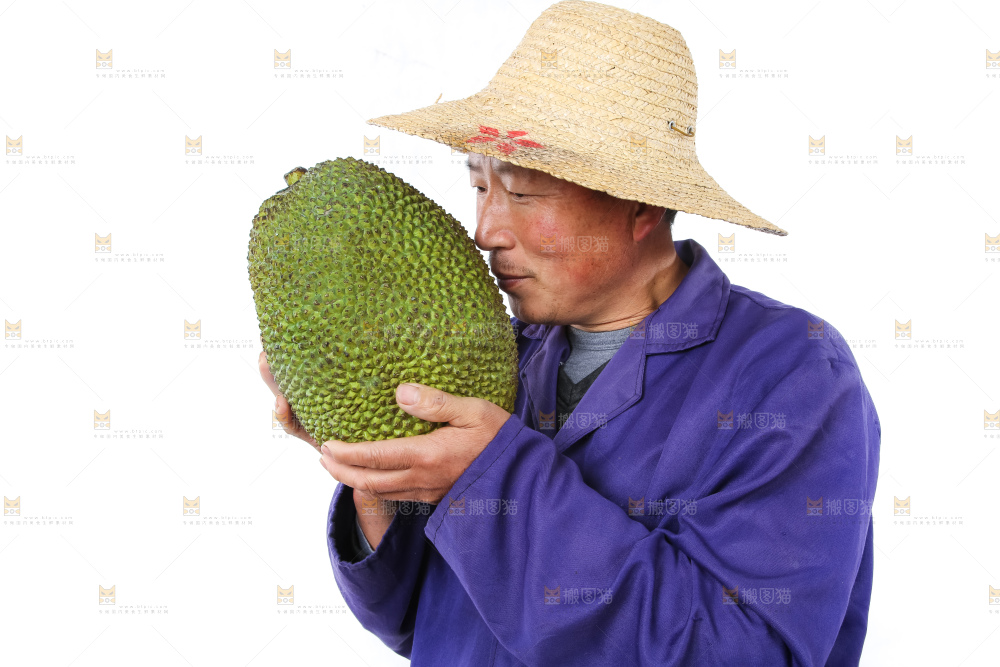 农民手里拿着菠萝蜜