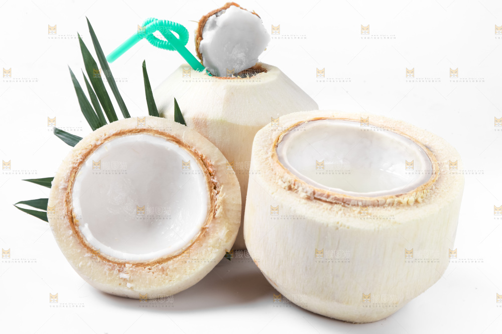 白底上青椰子