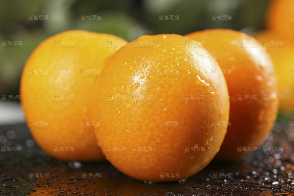 黑石板上的广西金钱橘