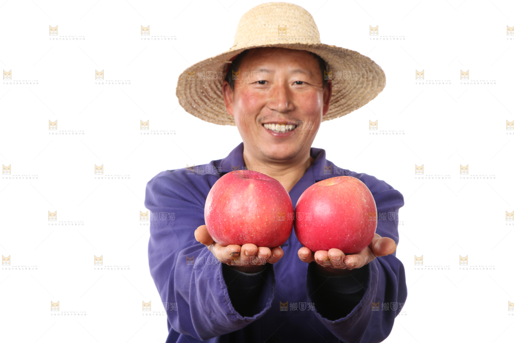 红富士苹果-人物