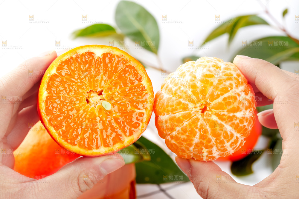 手里拿着新鲜沃柑
