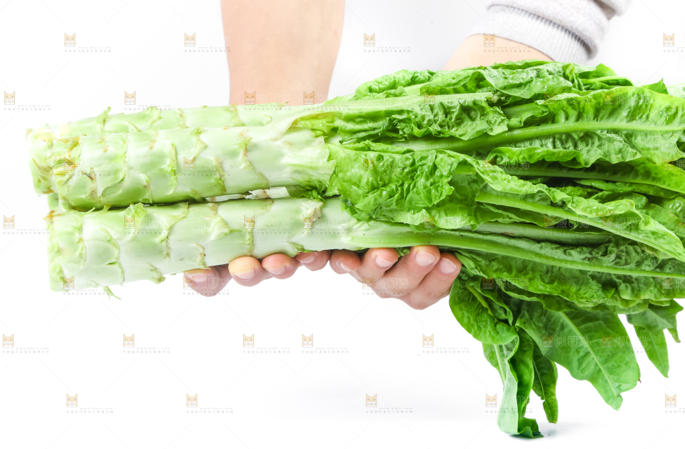 白底上的莴笋