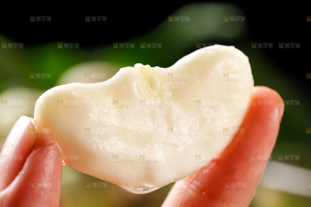 手里拿着新鲜菱角