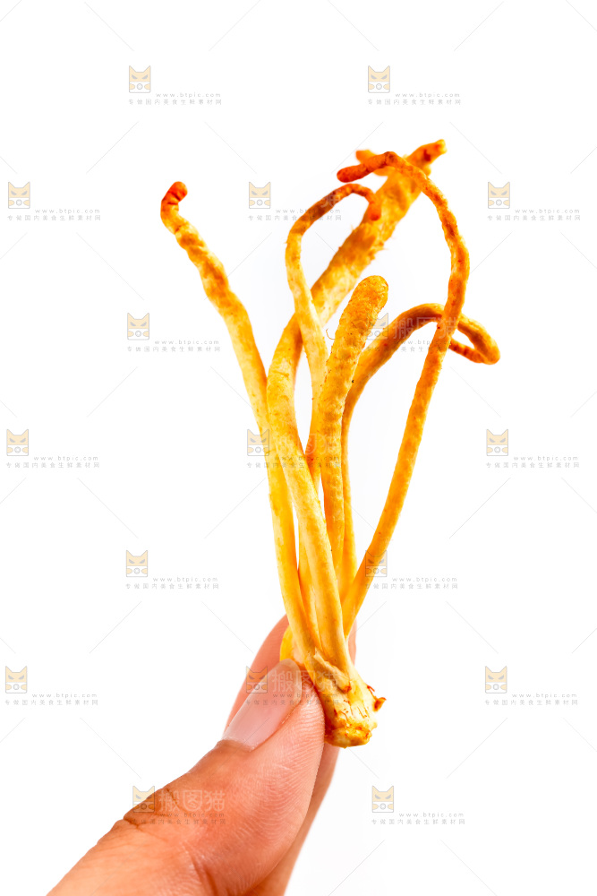 白底上放着虫草花