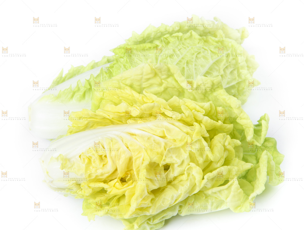 白底上放着大白菜