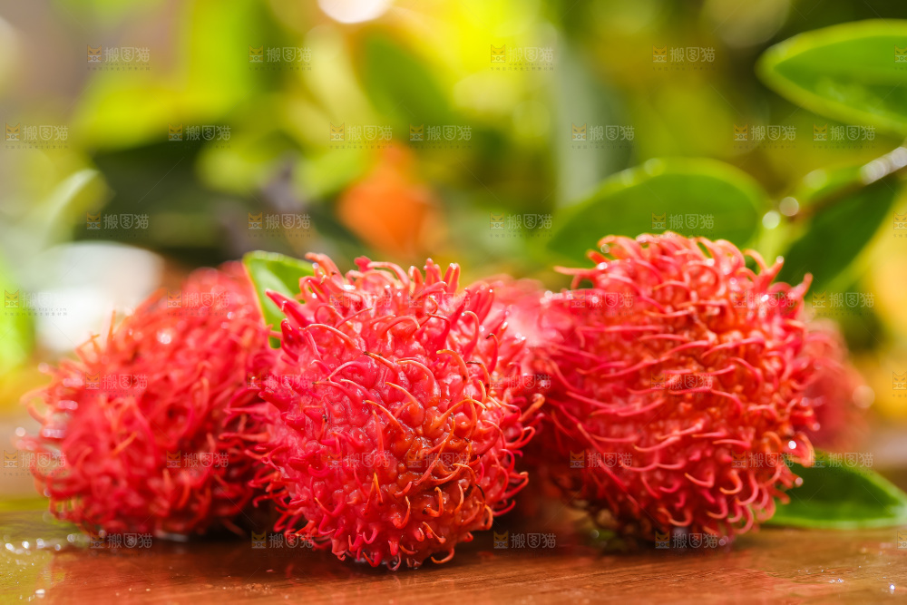 木板上的海南红毛丹