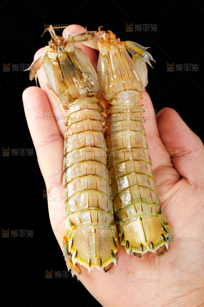 手里拿着生鲜皮皮虾