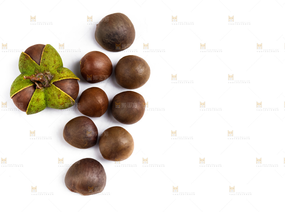 白底上摆放着茶树果