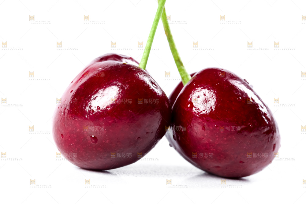白底上的新鲜车厘子