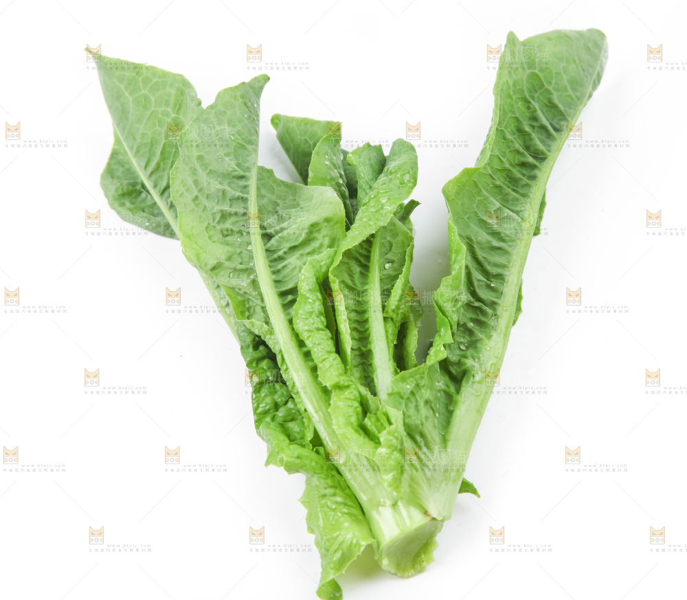 白底上的莴笋叶子