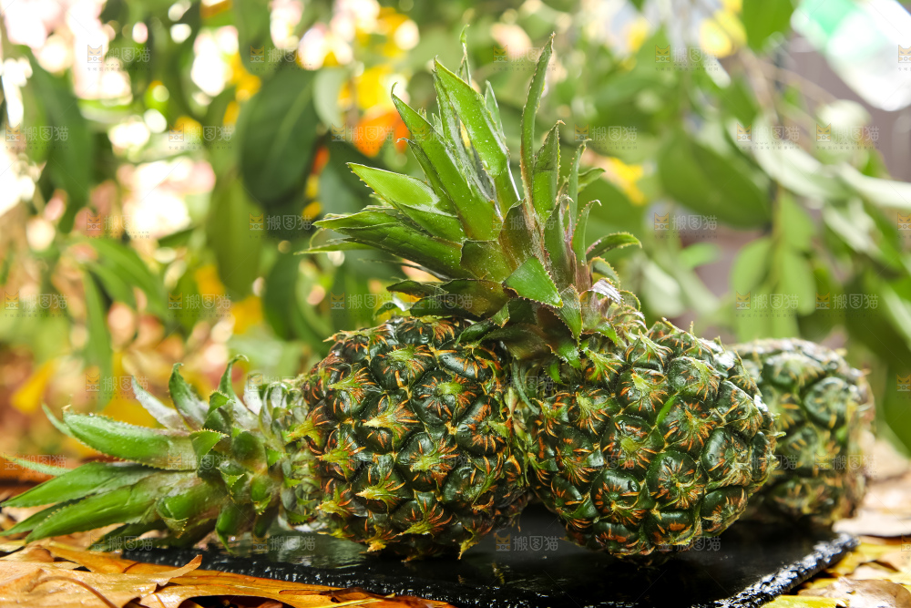 黑石板上的新鲜小菠萝